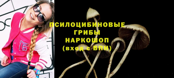 каннабис Каменск-Шахтинский