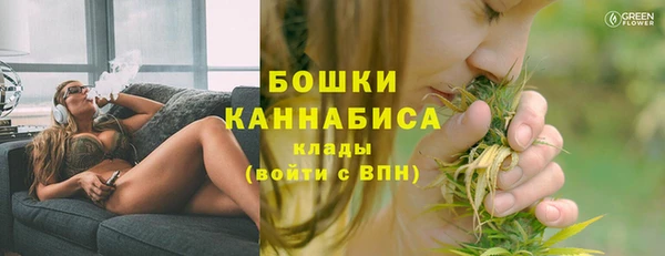 сатива Каменногорск