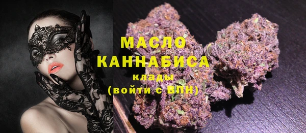 сатива Каменногорск
