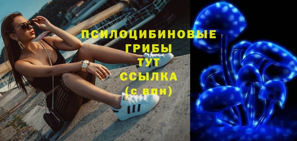 сатива Каменногорск