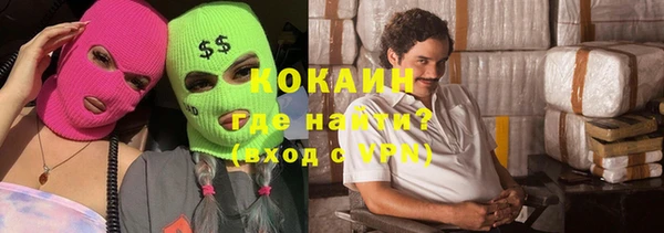 сатива Каменногорск
