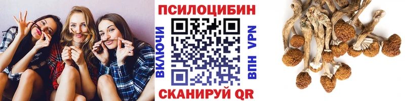 MEGA ссылка  Котельниково  Галлюциногенные грибы GOLDEN TEACHER 
